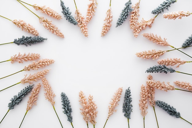 Nice composition made with wheat leaves on white background