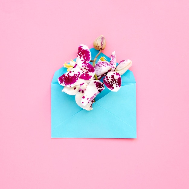 Nice orchids in envelope