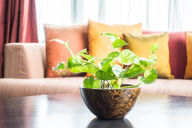 ぼやけた部屋の背景に素敵な植物