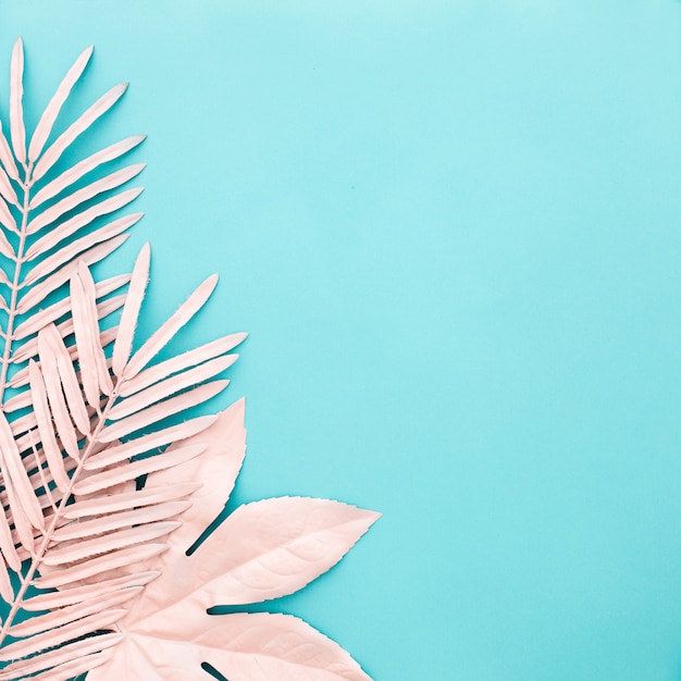 Free photo nice square composition of pink leaves on blue background