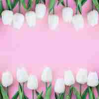 Free photo nice symmetrical composition with white tulips on pastel pink background