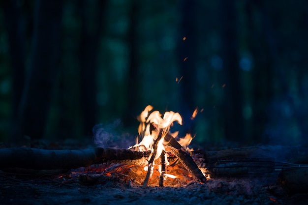 Night campfire at the night
