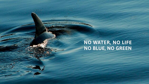 물 없음 생명 해양 포스터