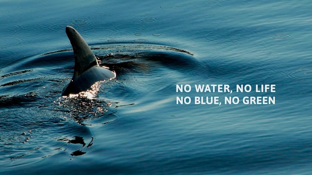 No water no life marine poster
