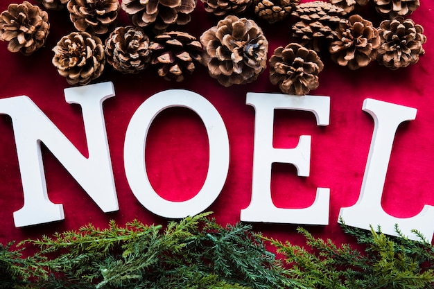 Free photo noel title near arborvitae branches and pine snags