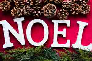 Free photo noel title near arborvitae branches and pine snags