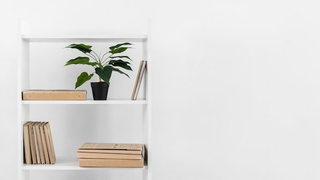 Free photo nordic style bookshelf with plant