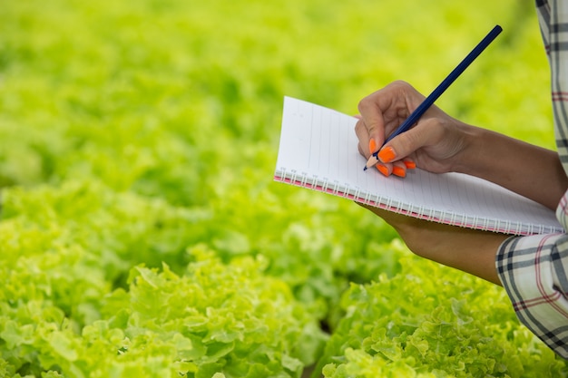 A notebook in the hands of a young woman in the nursery.