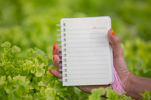 A notebook in the hands of a young woman in the nursery.