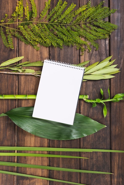 Notebook on leaves and bamboo twig