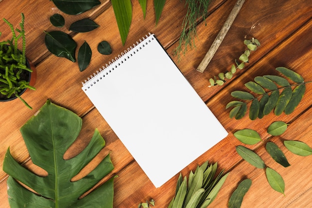 Free photo notebook and leaves on table