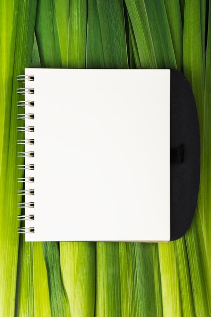 Notebook on long plant leaves