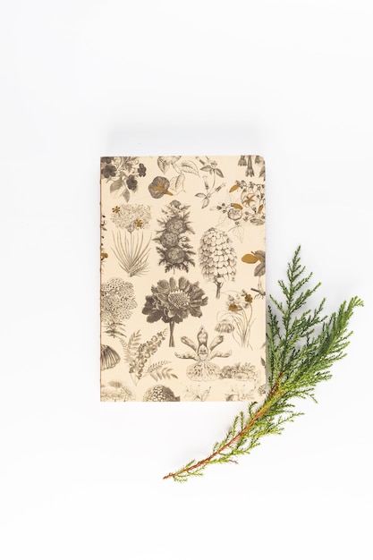 Free photo notebook near coniferous branch