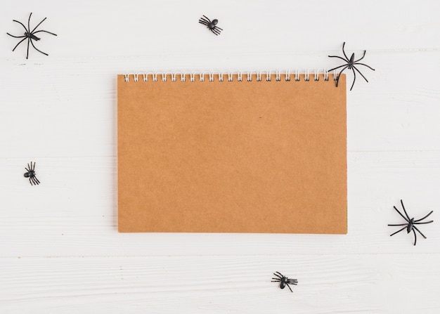 Free photo notebook near decorating spiders