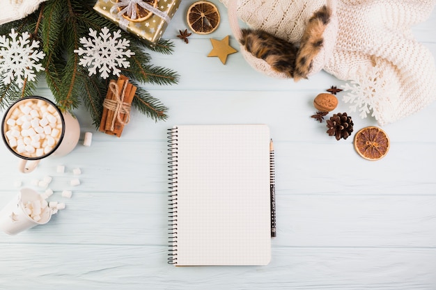 Notebook near knitted clothes, cup with marshmallows and fir branch