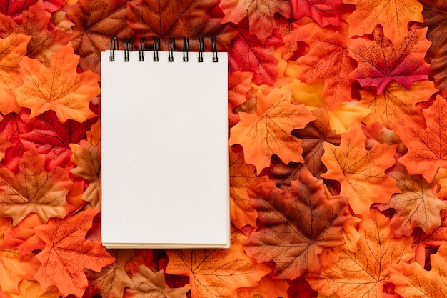 Foto gratuita blocco note su sfondo di foglie d'autunno