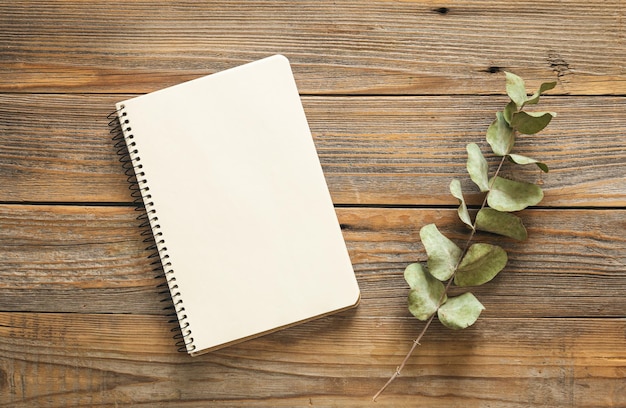 Notepad and eucalyptus branch on a wooden background