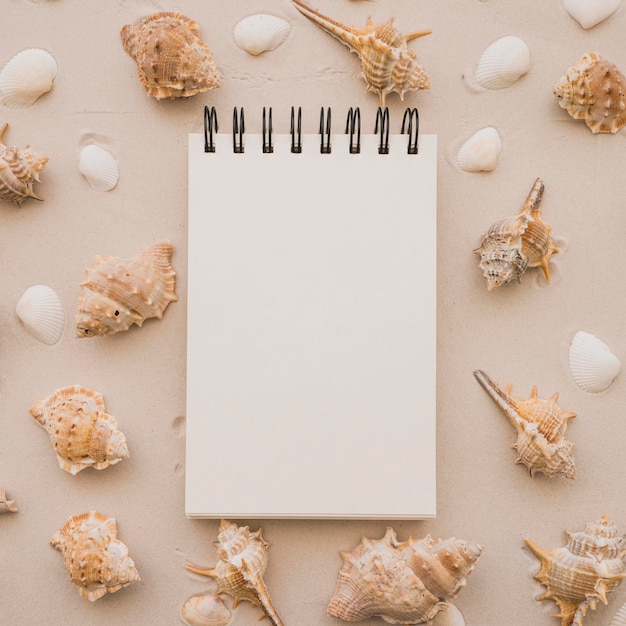 Free photo notepad and seashells on the beach