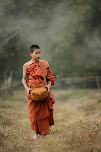 Novice monks walking in the meadow