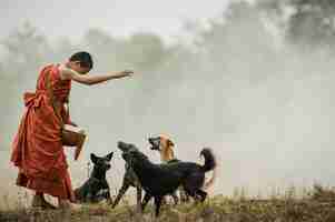 Free photo a novice walks and there is a dog in the meadow.