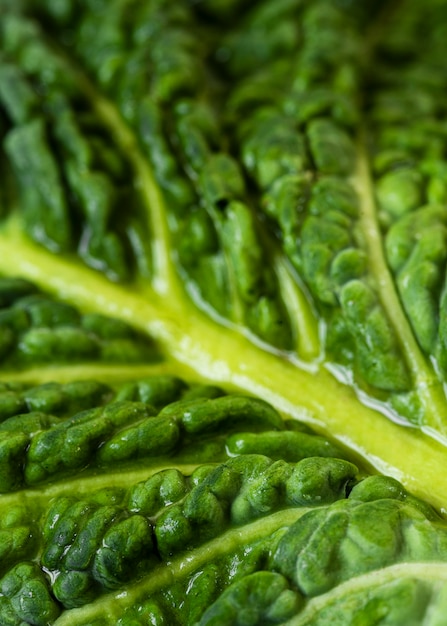 Foto gratuita primo piano nutriente della composizione di struttura dell'alimento