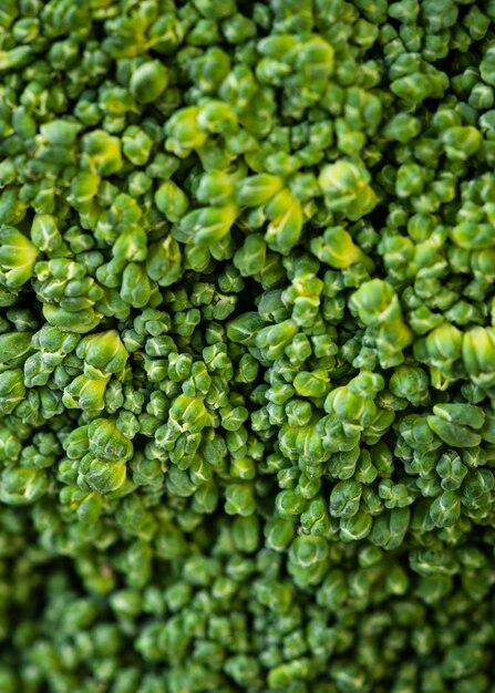 Nutritious food texture composition close-up