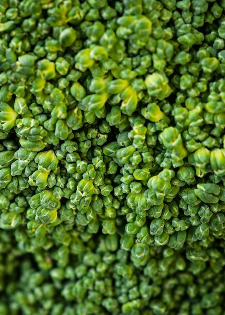 Nutritious food texture composition close-up