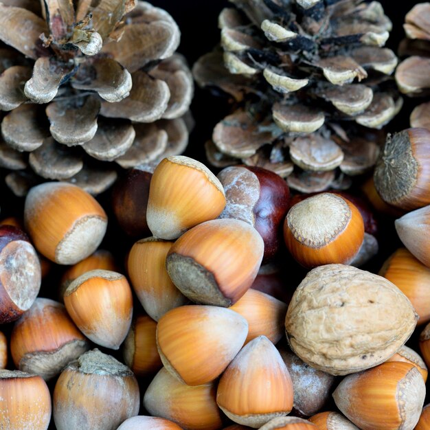 "Nuts in shells and cones"