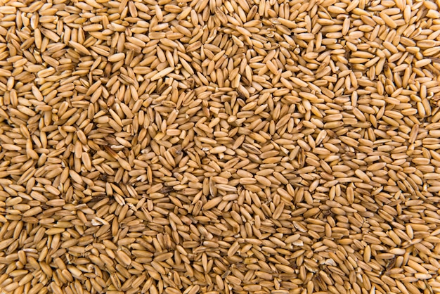 Oats peeled