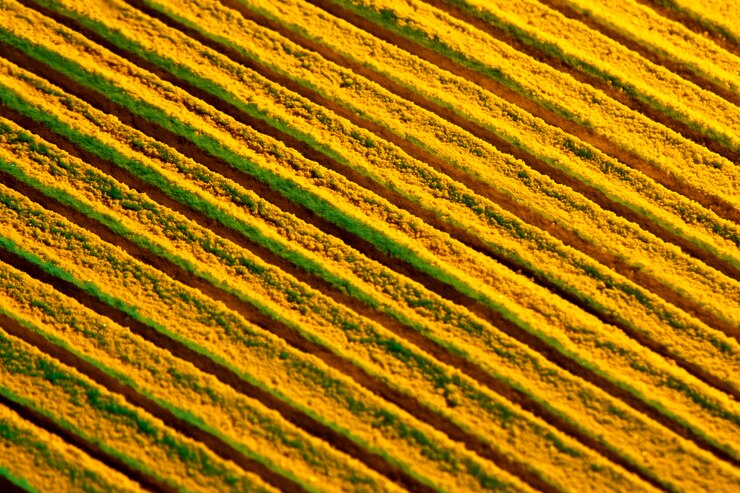 मुफ़्त फोटो oblique lines from yellow sand