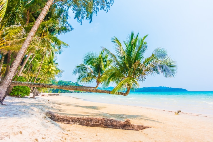 Free Photo ocean sky caribbean paradise holiday