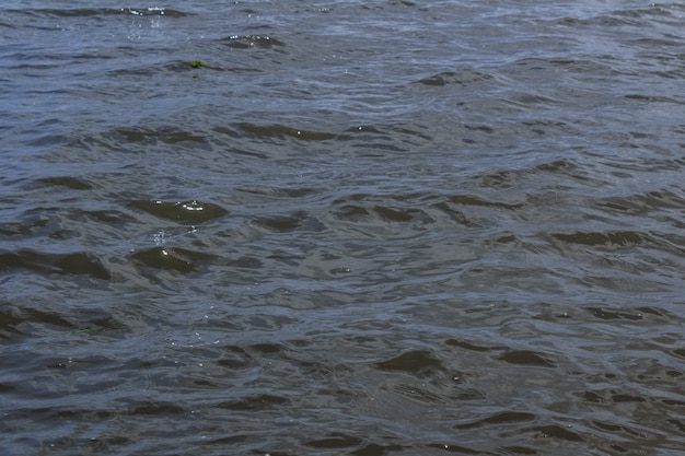 Foto gratuita acqua dell'oceano