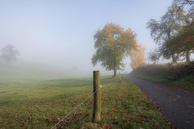 霧のかかった朝のオーデンヴァルト