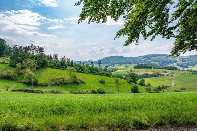 Оденвальд в германии - это чистая природа
