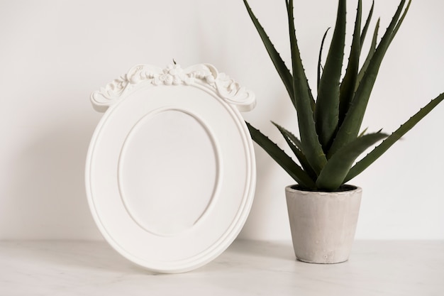 Free photo office plant with frame