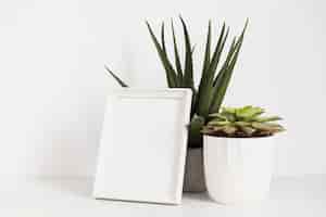 Free photo office plants with frame