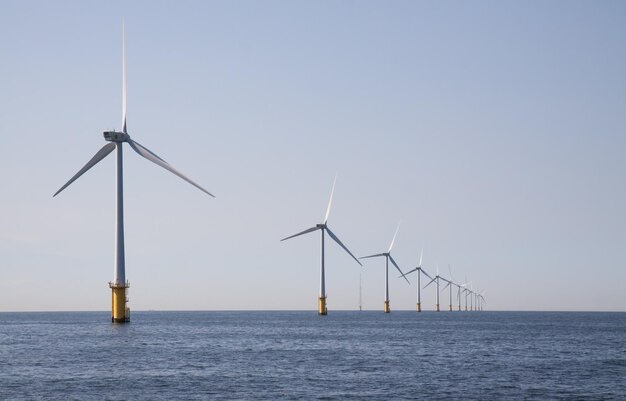네덜란드 IJmuiden 인근 해상 풍력 발전 단지