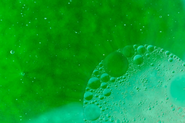 Oil bubbles floating on green water surface