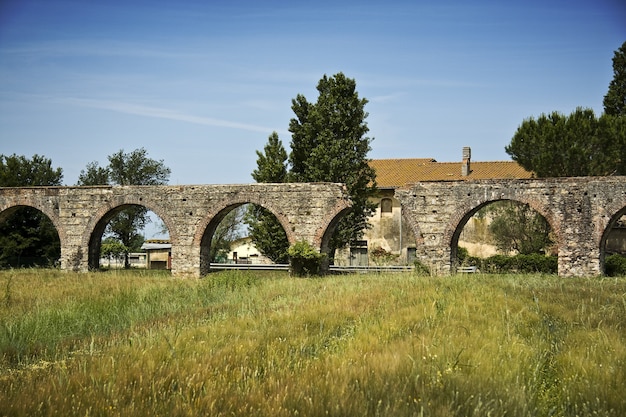 Old arch bridge on a grass field with trees and a building