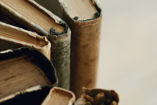 Old books closeup, literature concept