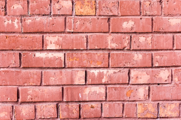 Free photo old brick wall wallpaper