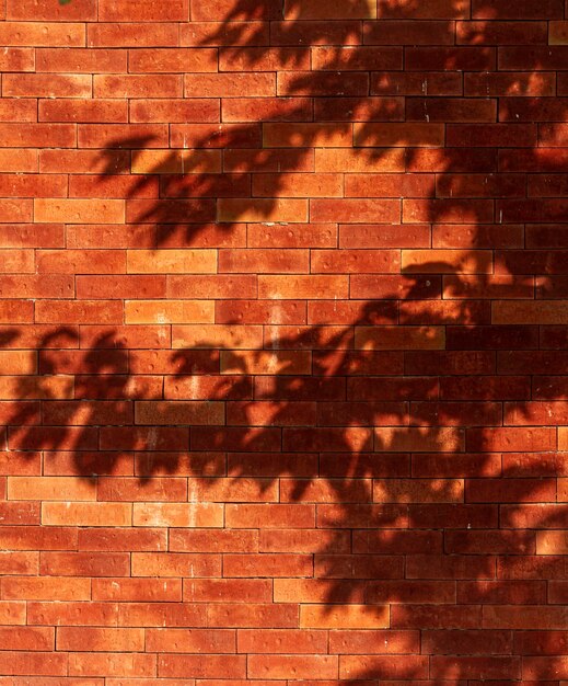 잎 그림자와 함께 오래 된 벽돌 벽