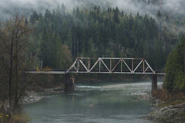 Old bridge over a river in the forest on a cold cloudy day