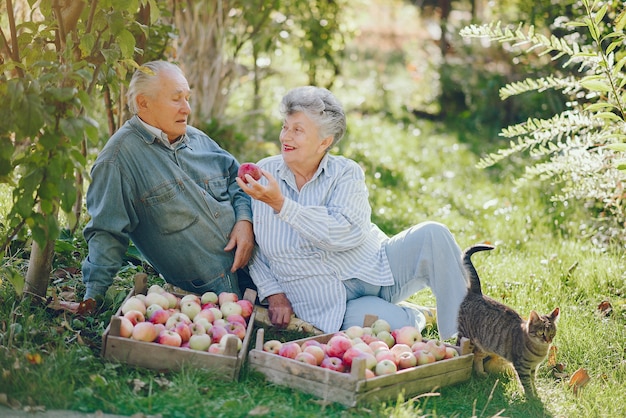 Old couple sitting in a summer garden with harvest