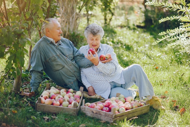 Old couple sitting in a summer garden with harvest