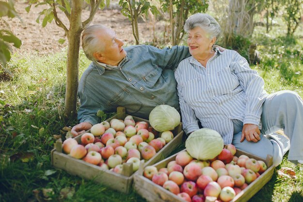 Old couple sitting in a summer garden with harvest