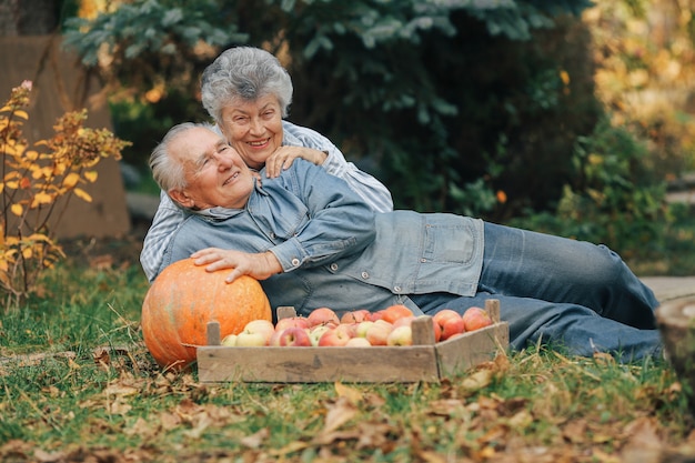 Old couple sittingin a summer garden with harvest