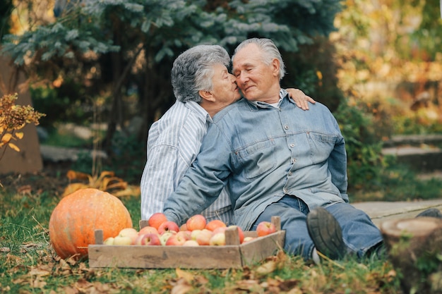 Old couple sittingin a summer garden with harvest