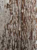 Free photo old damage wooden textured background