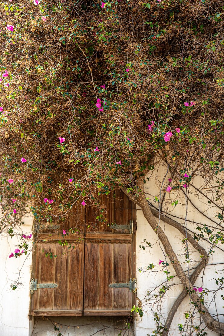 मुफ़्त फोटो an old dry flowering tree weaves along the wall of the facade of a house with a wooden door